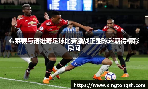 布莱顿与诺维奇足球比赛激战正酣球迷期待精彩瞬间