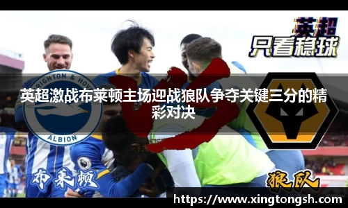 英超激战布莱顿主场迎战狼队争夺关键三分的精彩对决
