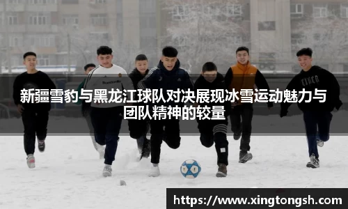 新疆雪豹与黑龙江球队对决展现冰雪运动魅力与团队精神的较量