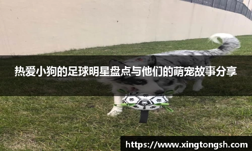 热爱小狗的足球明星盘点与他们的萌宠故事分享